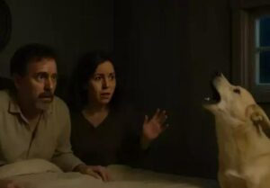 Il nostro cane fissava il muro della camera da letto e abbaiava continuamente, impedendoci di dormire: abbiamo dovuto chiamare un muratore e abbattere il muro.