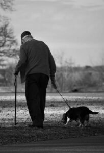 Il cucciolo abbandonato diventò l'angelo per cui un anziano in lutto pregava.