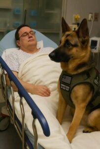 I medici portarono il cane a salutare il suo padrone, ma l’intelligente animale cominciò ad abbaiare forte e saltò improvvisamente sul letto dell’ufficiale... quello che accadde dopo scioccò tutti.