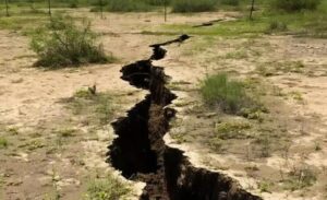 Dopo il terremoto, il contadino vide nel suo cortile un piccolo tunnel: quando scoprì cosa c’era dentro, rimase senza parole…