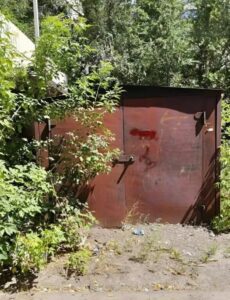 Ogni notte sentivo strani rumori provenire dal nostro garage: quando scoprii cosa faceva mio marito, rimasi senza fiato dall’orrore…