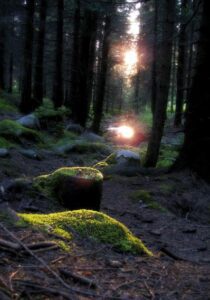 Nel 1982, sei adolescenti andarono in montagna per un fine settimana e non fecero mai ritorno. Campo 6: Il segreto che la foresta non voleva rivelare.