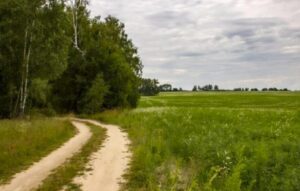 I banditi volevano aggredire un vecchio solitario, ma quando lui si inginocchiò davanti a un paio di scarpe e iniziò a pregare, accadde qualcosa di inaspettato