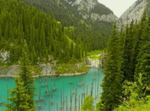 Nel 1982, sei adolescenti andarono in montagna per un fine settimana e non fecero mai ritorno. Campo 6: Il segreto che la foresta non voleva rivelare.