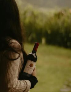 Dopo 40 anni di matrimonio chiese il divorzio per una donna più giovane – ma la calma risposta della moglie distrusse il suo orgoglio e lo lasciò senza parole