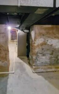 Credevo di conoscere i miei figli… finché l’idraulico non scoprì cosa nascondevano in cantina