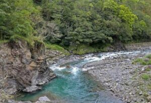 "La madre e i suoi figli hanno trovato una bottiglia con una lettera vicino al fiume. Nella lettera c'era scritto quanto segue: è davvero incredibile...