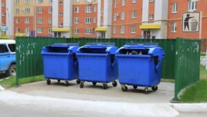 Una donna di settantanove anni rovistava ogni mattina nei cassonetti del cortile. Tutti pensavano che cercasse qualcosa da mangiare… ma la verità, quando venne a galla, fu molto più cupa, quasi insopportabile