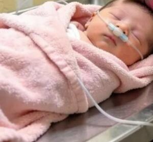 «Mi dissero di dire addio al mio bambino… ma tutto cambiò il giorno in cui il nostro pastore tedesco iniziò a ringhiare contro le pareti dell’ospedale, rivelando una verità scioccante».