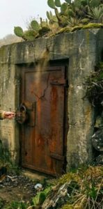 «Signore… vi prego… nasconda mia sorella», sussurrò il ragazzo con un filo di voce, e l’uomo annuì senza fare domande. Non chiese spiegazioni, non volle sapere dettagli. In certi momenti, l’istinto vale più di qualsiasi parola.