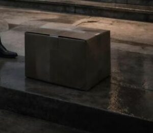 Mia figlia mi ha chiesto mezzo milione per coprire i debiti di suo marito, dandomi tempo fino a mezzogiorno, ma al mattino ho lasciato sul portico solo una scatola — aprendola, invece dei soldi ha visto qualcosa che l’ha fatta urlare