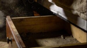 Quando dissi a mia figlia di otto anni, Sophie, «Andremo al funerale della nonna», il colore le abbandonò il volto in un istante, come se qualcuno avesse improvvisamente spento la luce dentro di lei.